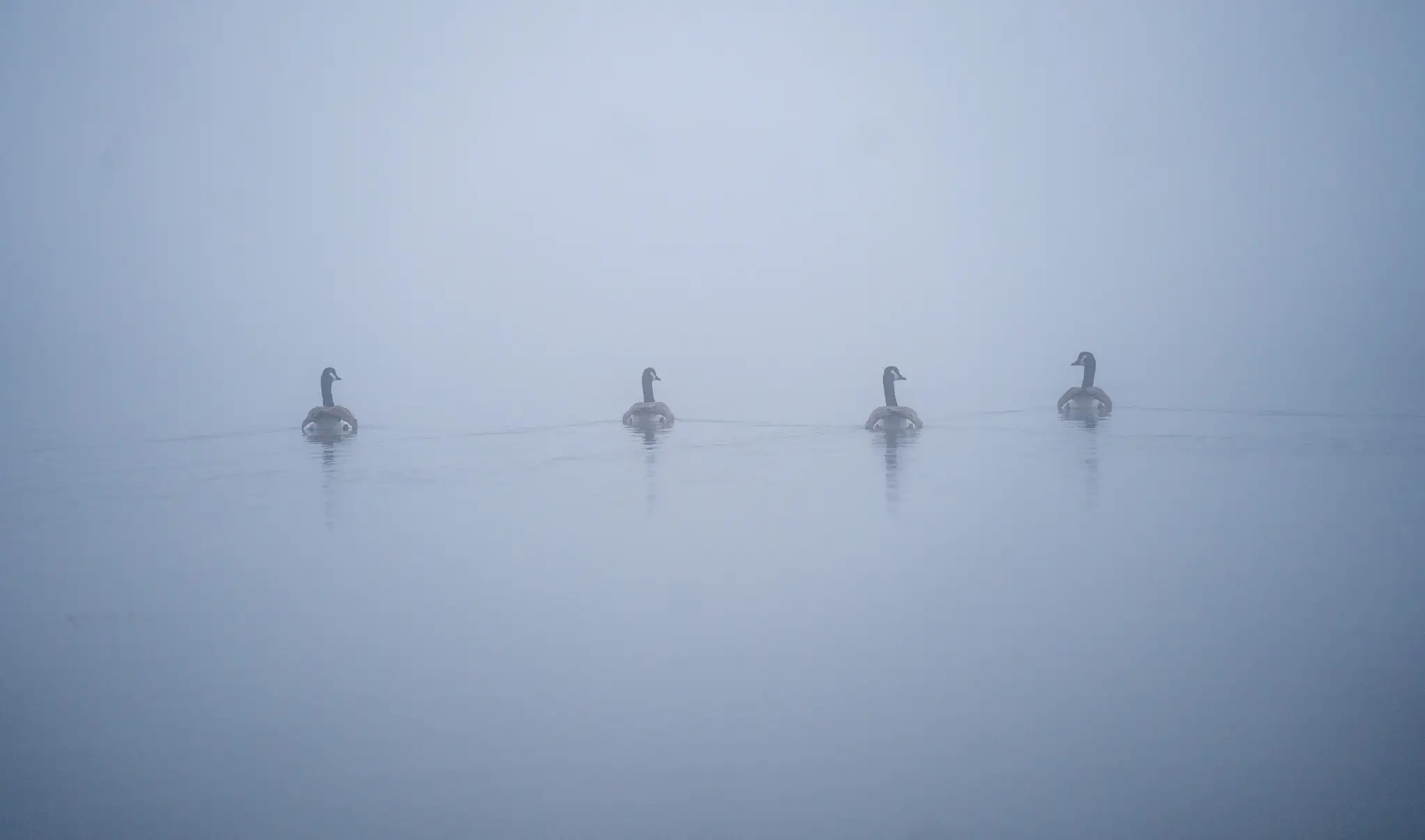 Nature photography by chedeuxx